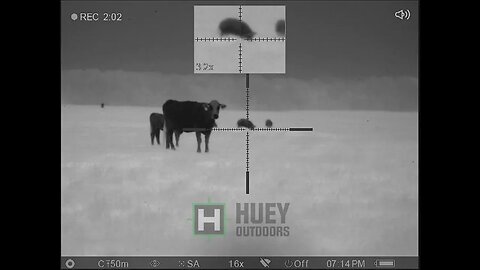 Thermal Hog Hunting with CMMG 22 Nosler