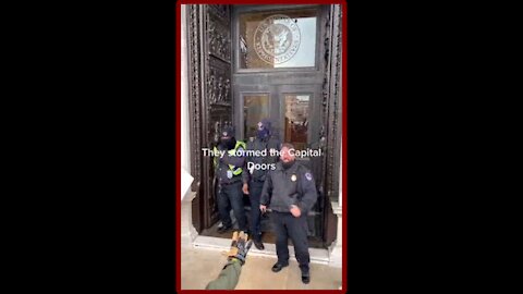 Jan 6 Footage - ANTIFA Attacking Capitol Police At the Capitol Doors - 2203