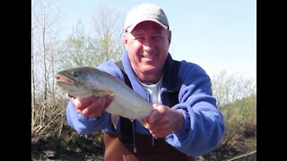 Steelhead Trout fishing