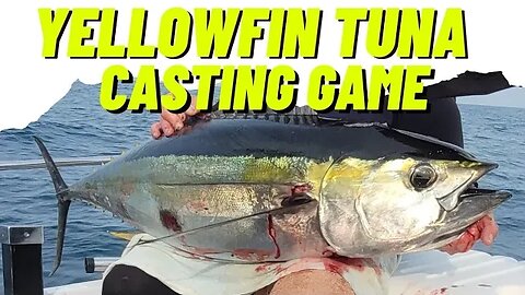 Yellowfin Tuna Casting. Pescaria de atum albacora no arremesso. O bitelo apareceu.