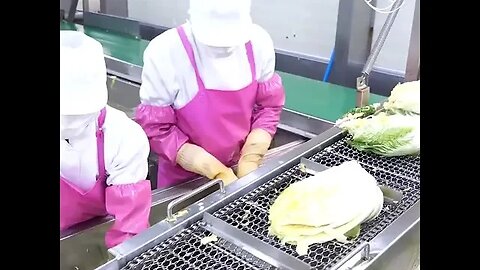 Amazing Kimchi Factory in Korea.