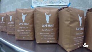 Iron Mule coffee offers unique outdoor caffeine experience