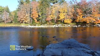 Watching fall colours over the river on a windy day in Nova Scotia