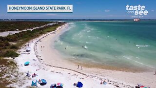 Honeymoon Island State Park - Dunedin, Florida | Taste and See Tampa Bay