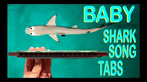 How to Play Baby Shark on a Tremolo Harmonica with 16 Holes