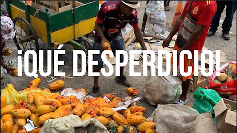 Desperdicio de alimentos en Cartagena: Suficiente para alimentar a los niños más vulnerables.