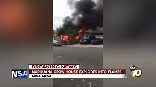 Marijuana grow house explodes into flames