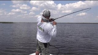 Catch and Release and the Florida Trophy Catch Program