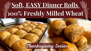 Soft, EASY Dinner Rolls w/100% Freshly Milled Wheat | Thanksgiving Recipes | Healthy Dinner Rolls