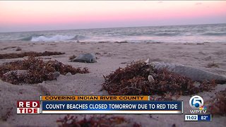 Researchers, FWC find high levels of red tide in Vero Beach