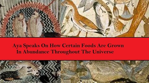 Anunnaki Aya Speaks About Different Methods Of Growing Food In The Universe