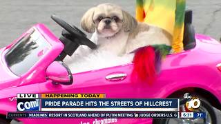 Pride parade hits the streets of Hillcrest