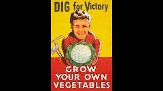 Bethany's Victory Garden: June 2021