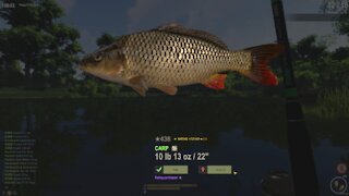 Fishing for carp in Fisher Online - Belarus: Dukora Pond (New player gameplay)