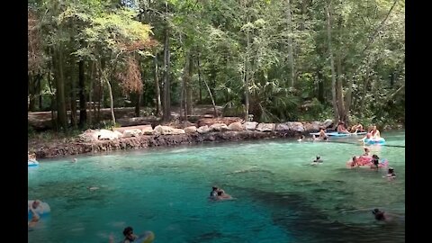 GINNIE SPRINGS SCUBA DIVING the BALLROOM 7/1/2020