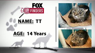 FOX Finders Pet Finders - TT