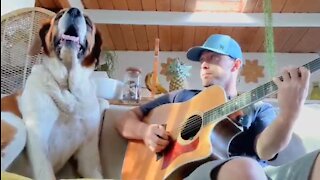 Musician plays a song for his dog