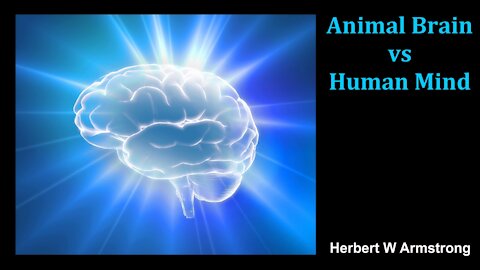 Animal Brain vs Human Mind - Herbert W Armstrong - Radio Broadcast