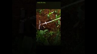 Tech-age gardening | daily life vlog