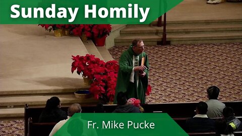 Homily for the Third Sunday in Ordinary Time - Father Mike Pucke