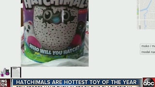 Popular Hatchimal toy hard to get this season