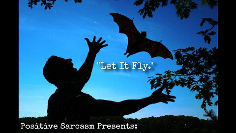 Positive Sarcasm Presents: "Let It Fly." (My final thoughts regarding the pandemic)