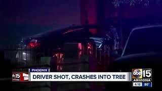 Driver dies after being shot, crashing into a tree in west Phoenix