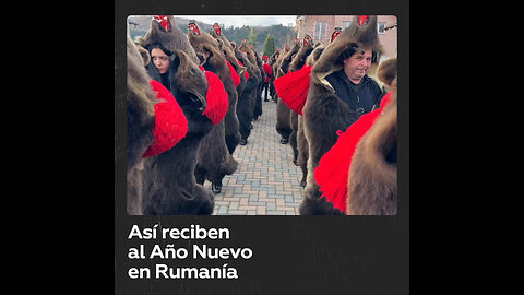 Desfile de osos para el Año Nuevo en Rumanía