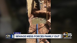 Sewage mess forces Mesa family from their home
