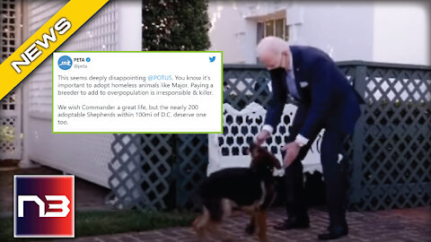 PETA Calls Joe Biden A "Killer" For What He Did to His Dog