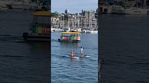 Paddleboarding in Vancouver #canada #britishcolumbia #vancouver #paddleboard