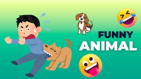 Funny animal videos Cute animal videos Funny dog videos