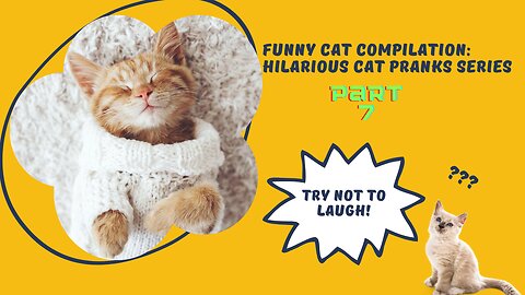 Funny Cat Compilation: Hilarious Cat Pranks Series - Part 7