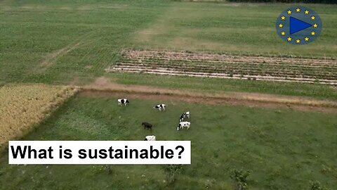 🇪🇺 Sustainable Farming in Belgium: How the CAP Supports the European Green Deal 🇪🇺