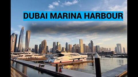 Experience the Magic of Dubai Marina Harbour's Yacht Area 2023