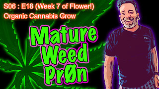 SE06 E18 (Day #120) || Day 43 of Flower || BluMat Soil Meter || How to Grow Cannabis for Beginners