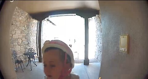 The little girl calls her neighbor's intercom after she ran away from a bobcat