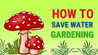 Save water while gardening