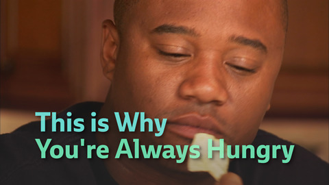 This is Why You're Always Hungry