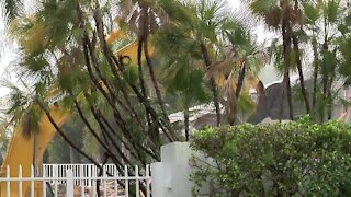 Demolition begins on Jeffrey Epstein's former Palm Beach mansion