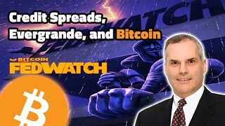Valuing Bitcoin Using Sovereign Credit Default Swaps with Greg Foss - Fed Watch 66