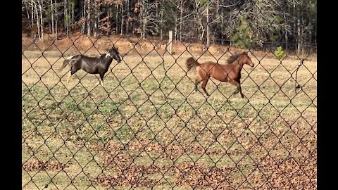 Spring is in the air in Alabama