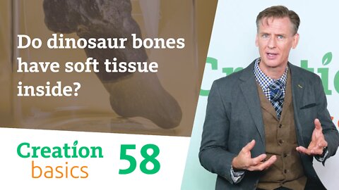 Do dinosaur bones have soft tissue inside? (Creation Basics, Episode 58)