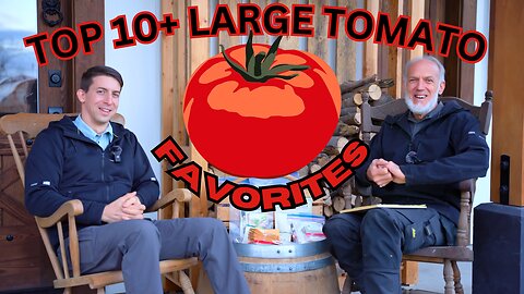 Favorite Tomato Varieties 2024|World Record Gardener's Best Heirloom Beefsteak Tomatoes|Growing Tips