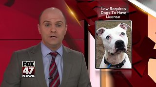 Ingham County Treasurers Office & Animal Control Taking Dog Licensing Enforcement Action