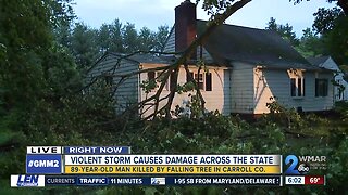 Man found dead under fallen tree as violent storm shakes Carroll County