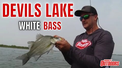 Giant White Bass on Devils Lake, North Dakota