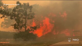 What you need to do during a forest fire evacuation