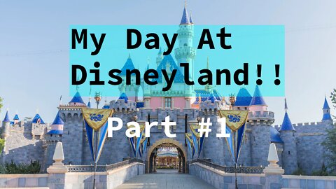 My Day At Disneyland!