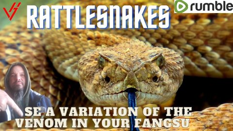 Rattlesnakes use a variation of the venom in your fangs